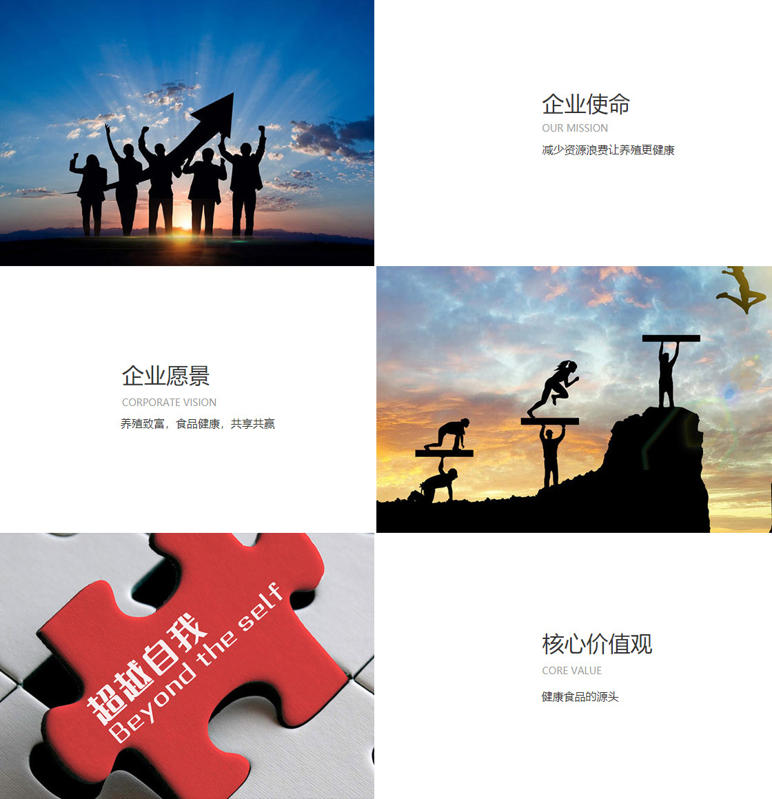 必赢亚州游戏官网首页(图1)
